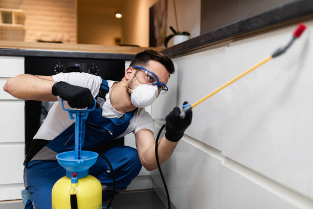 Best Flea Control Services  in Herculaneum, MO