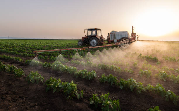 Best Best Pest Control Companies  in Herculaneum, MO