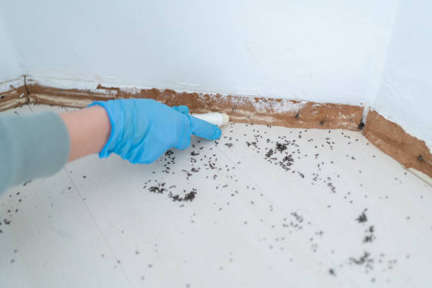 Best Best Pest Control Companies  in Herculaneum, MO